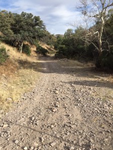 Steep hike up Temporal Gulch